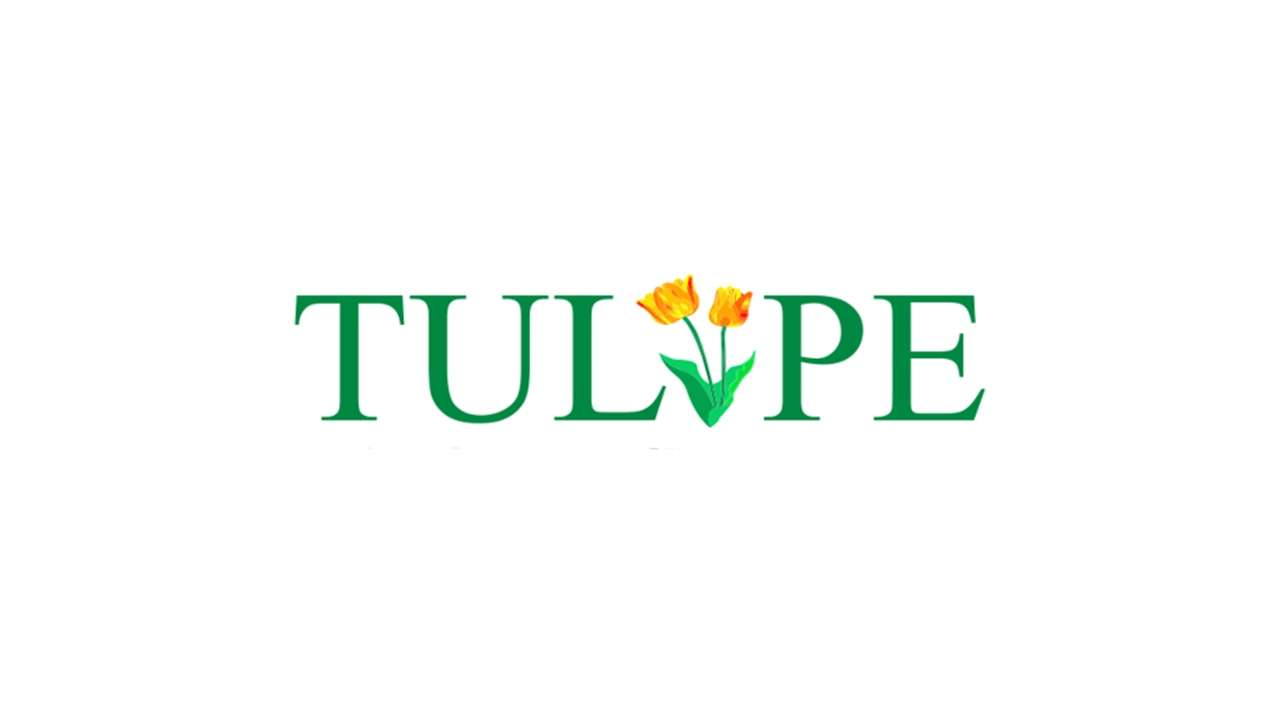 فروع Tulipe في مصر